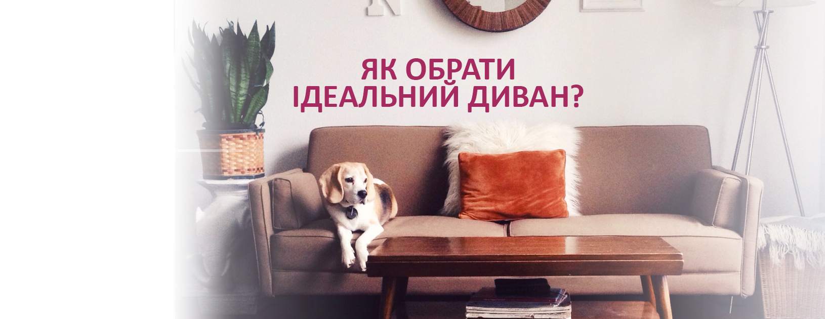 Як обрати ідеальний диван? Як обрати ідеальний диван?